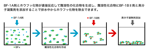 BF-1A܂ƃzEtbڔēn̉𐶐AnBF-1BU܂ƍqÏW܂Y邱ƂŔrzEtbł܂B